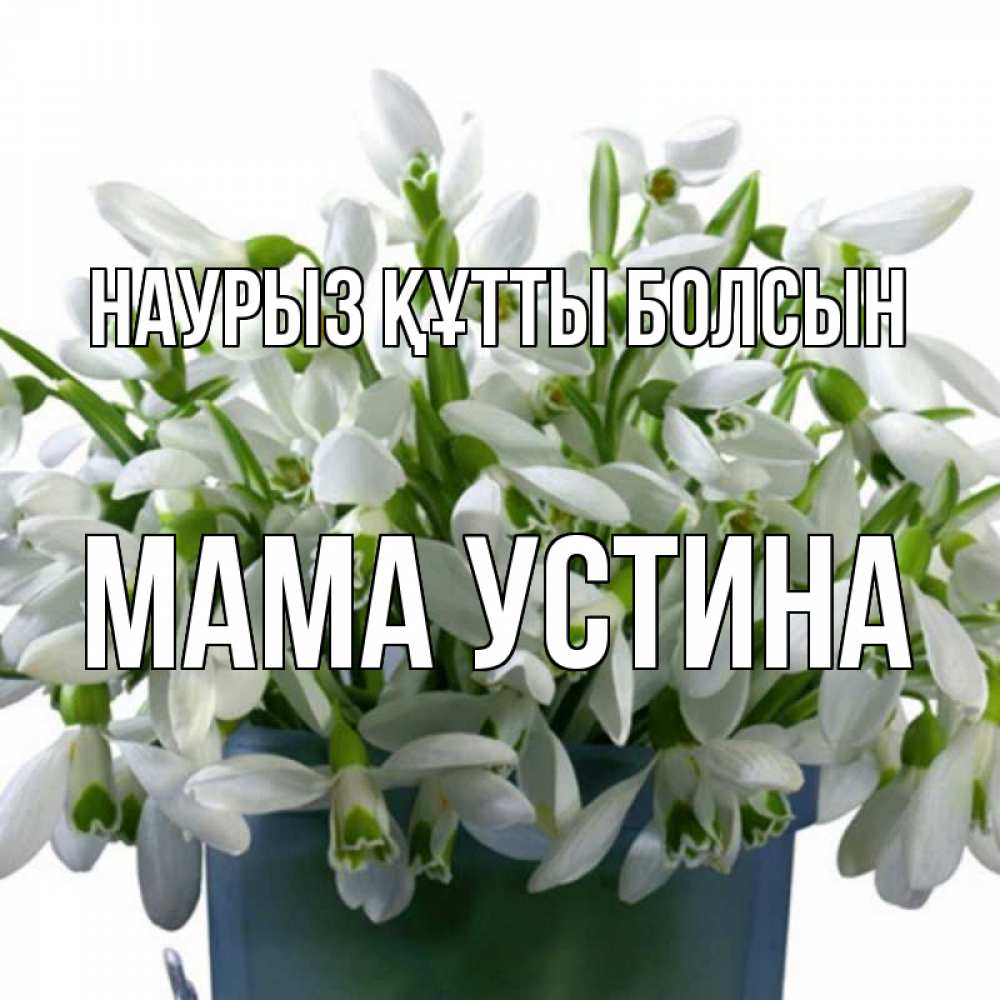Открытка на каждый день с именем, Мама-Устина Наурыз құтты болсын цветы к наурызу Прикольная открытка с пожеланием онлайн скачать бесплатно 