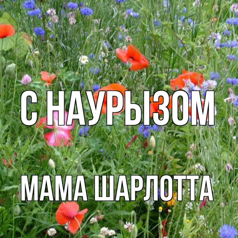 Открытка на каждый день с именем, Мама-Шарлотта С наурызом праздник весны наурыз супер открытка Прикольная открытка с пожеланием онлайн скачать бесплатно 