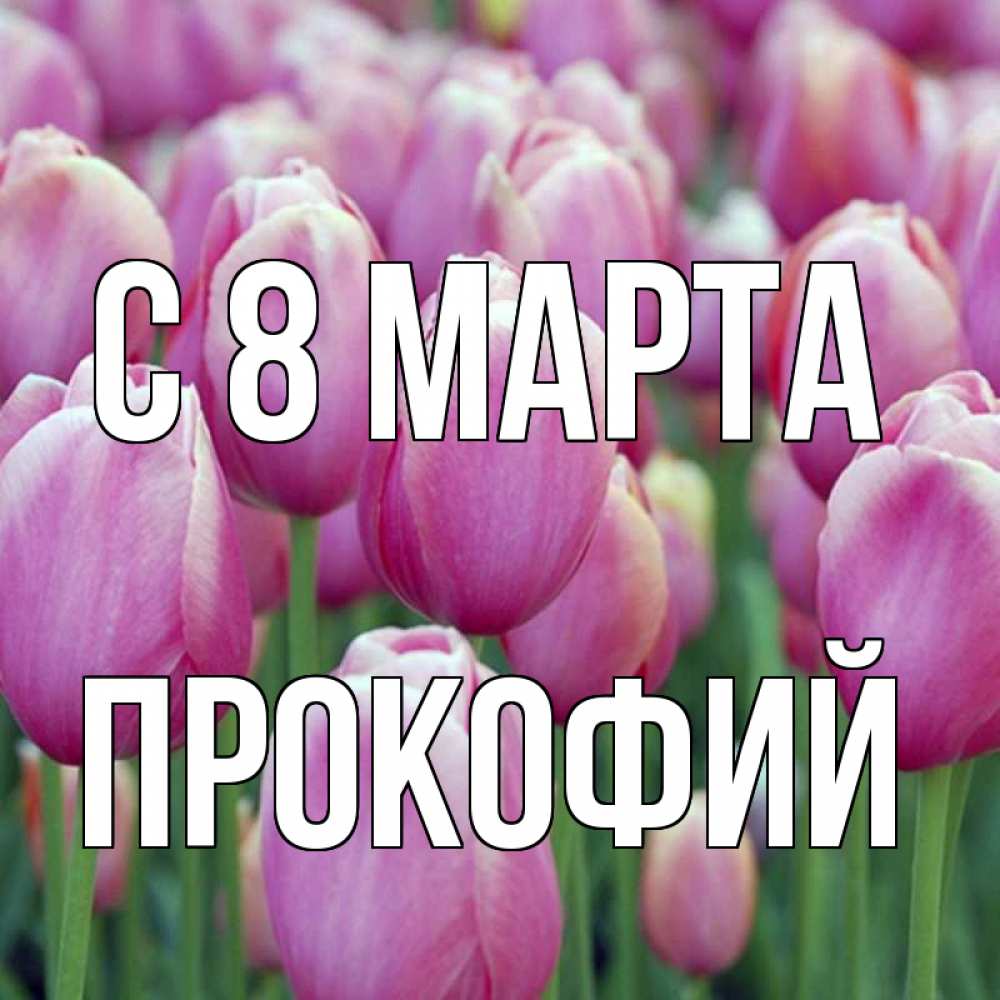 Открытка на каждый день с именем, Прокофий С 8 МАРТА на международный женский день 3 Прикольная открытка с пожеланием онлайн скачать бесплатно 