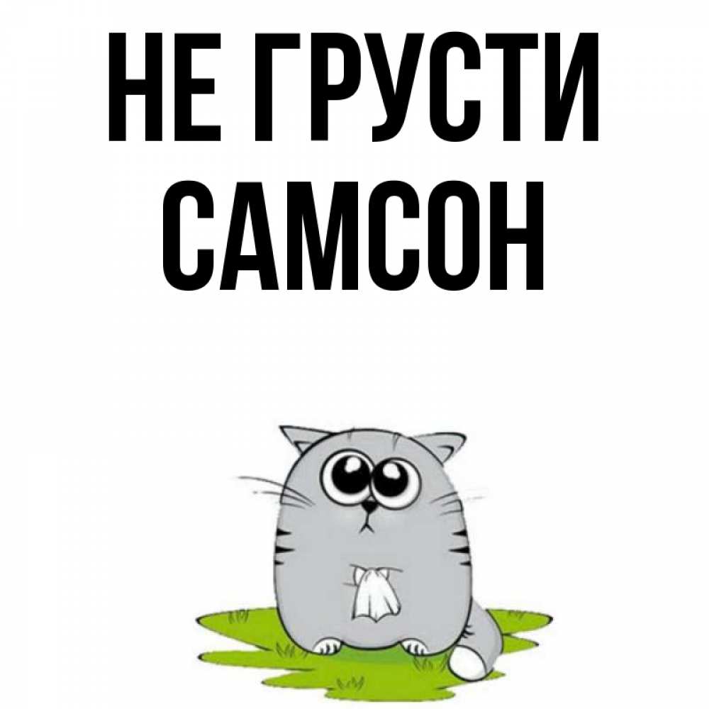 Открытка на каждый день с именем, Самсон Не грусти грустный котяра Прикольная открытка с пожеланием онлайн скачать бесплатно 