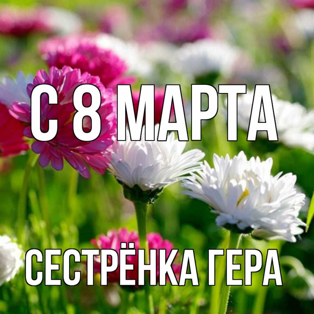 Открытка на каждый день с именем, Сестрёнка-Гера С 8 МАРТА международный женский день 1 Прикольная открытка с пожеланием онлайн скачать бесплатно 