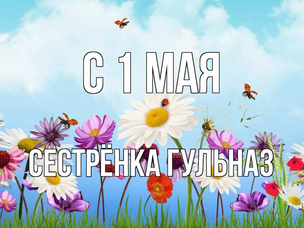 Открытка на каждый день с именем, Сестрёнка-Гульназ С 1 мая С 1 мая Прикольная открытка с пожеланием онлайн скачать бесплатно 