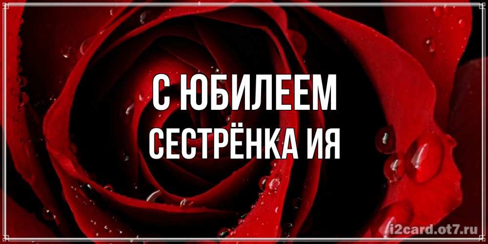 Открытка на каждый день с именем, Сестрёнка-Ия С юбилеем крупная бордовая роза Прикольная открытка с пожеланием онлайн скачать бесплатно 