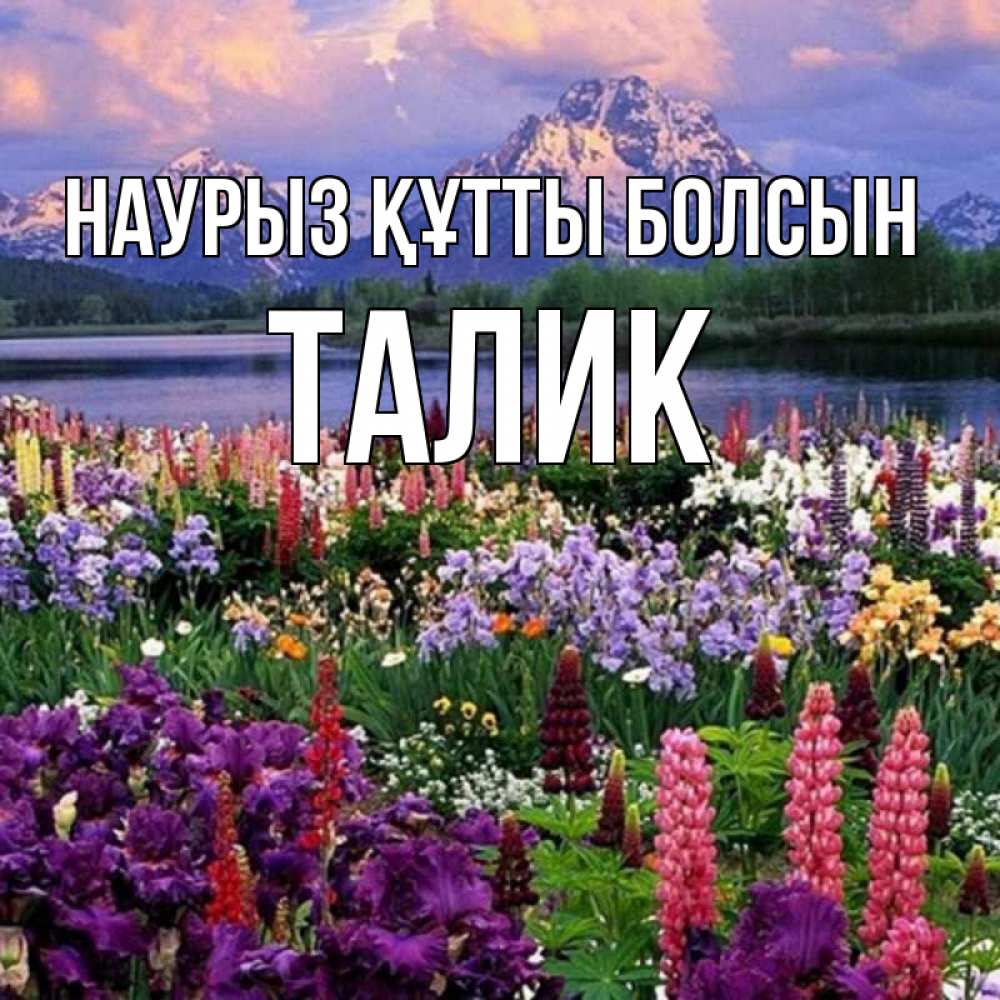 Открытка на каждый день с именем, Талик Наурыз құтты болсын наурыз Прикольная открытка с пожеланием онлайн скачать бесплатно 