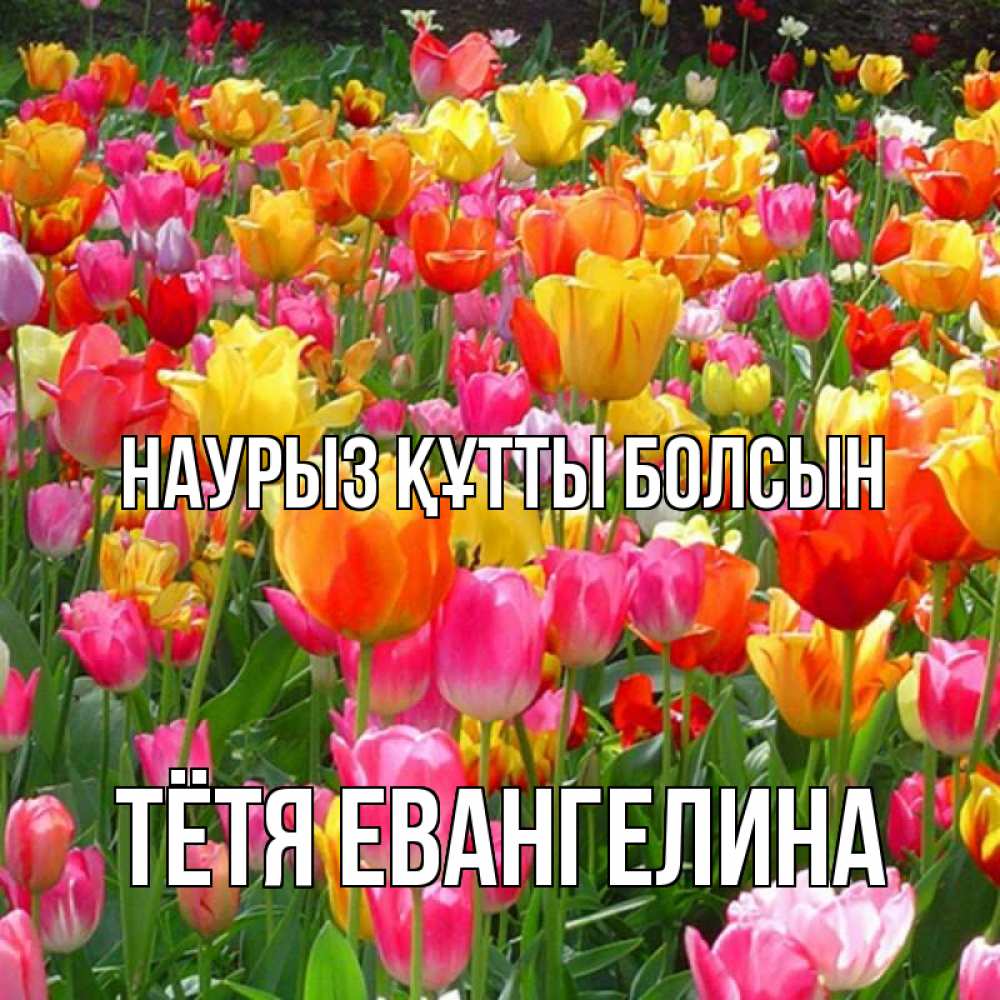 Открытка на каждый день с именем, Тётя-Евангелина Наурыз құтты болсын на наурыз  ура ура Прикольная открытка с пожеланием онлайн скачать бесплатно 