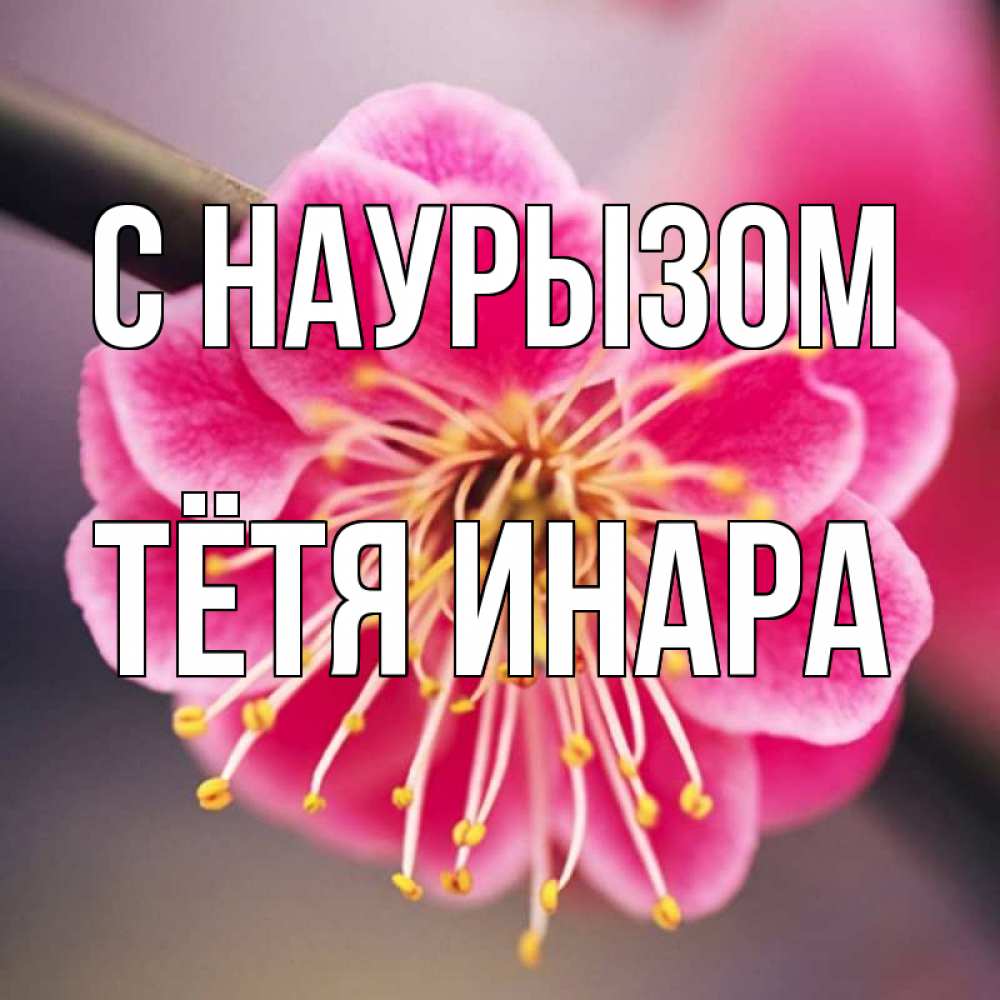 Открытка на каждый день с именем, Тётя-Инара С наурызом цветы Прикольная открытка с пожеланием онлайн скачать бесплатно 
