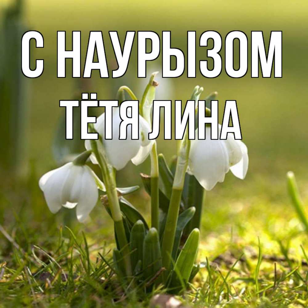 Открытка на каждый день с именем, Тётя-Лина С наурызом ранние цветы 2 Прикольная открытка с пожеланием онлайн скачать бесплатно 