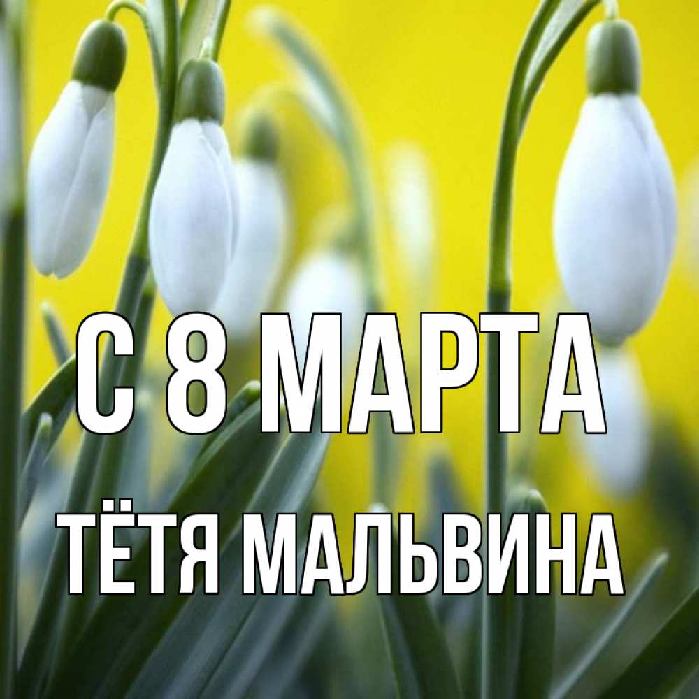 Открытка на каждый день с именем, Тётя-Мальвина С 8 МАРТА весенние цветы Прикольная открытка с пожеланием онлайн скачать бесплатно 