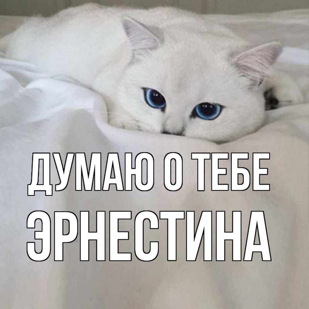 Открытка на каждый день с именем, Эрнестина Думаю о тебе я очень по тебе скучаю и тоскую Прикольная открытка с пожеланием онлайн скачать бесплатно 