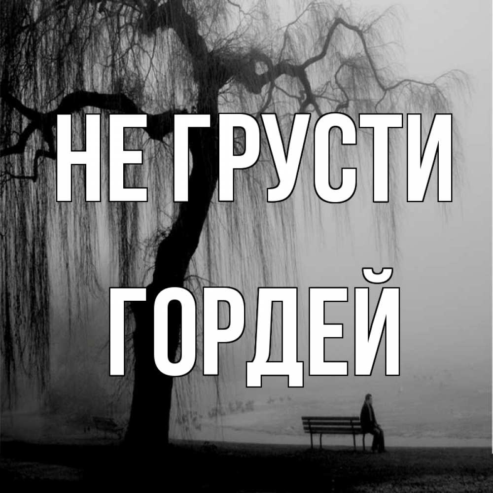 Открытка на каждый день с именем, Гордей Не грусти висящие ветки дерева и лавочка под деревом Прикольная открытка с пожеланием онлайн скачать бесплатно 