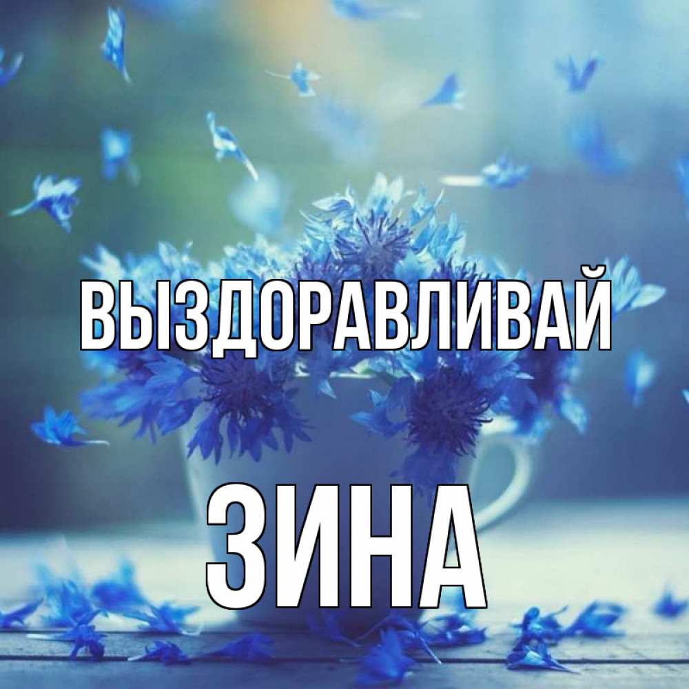 Картинка ну зина ну
