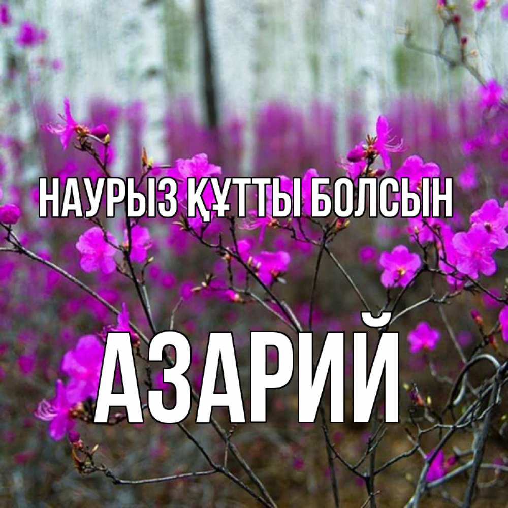 Открытка на каждый день с именем, Азарий Наурыз құтты болсын дикие цветы Прикольная открытка с пожеланием онлайн скачать бесплатно 