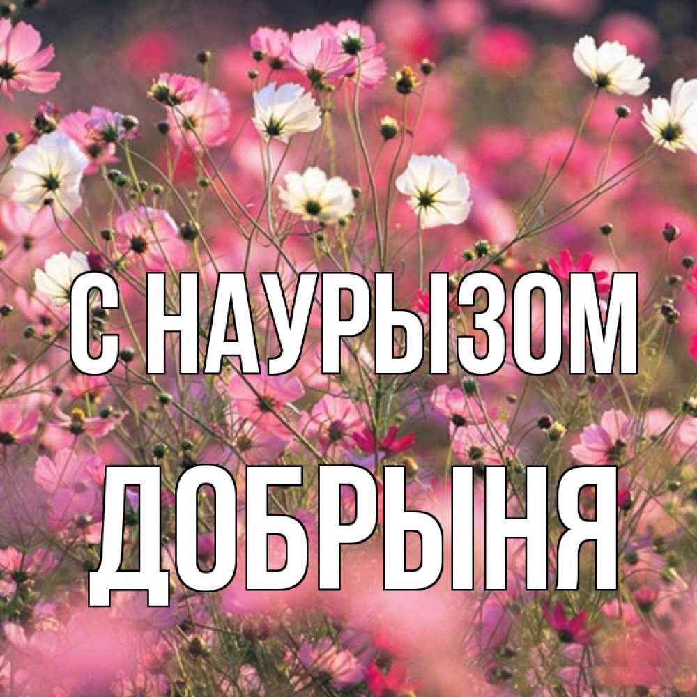 Открытка на каждый день с именем, Добрыня С наурызом красиво 1 Прикольная открытка с пожеланием онлайн скачать бесплатно 
