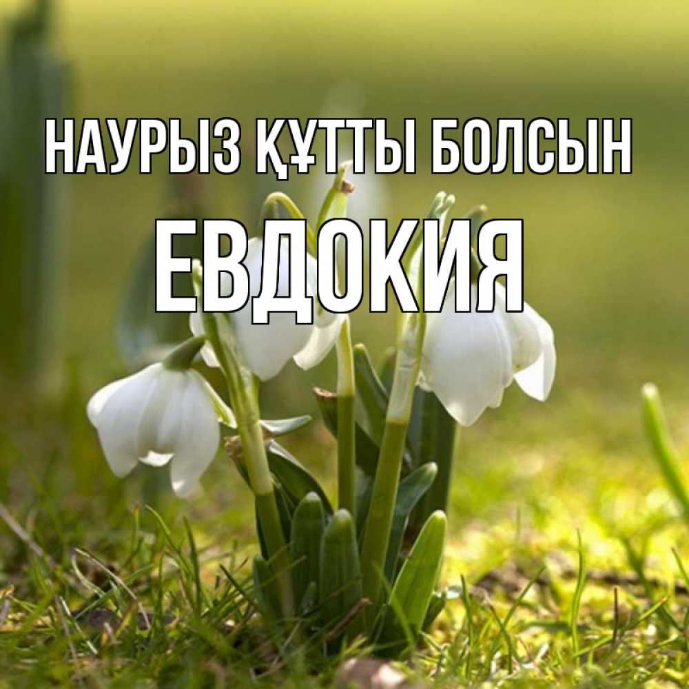Открытка на каждый день с именем, Евдокия Наурыз құтты болсын ранние цветы 2 Прикольная открытка с пожеланием онлайн скачать бесплатно 
