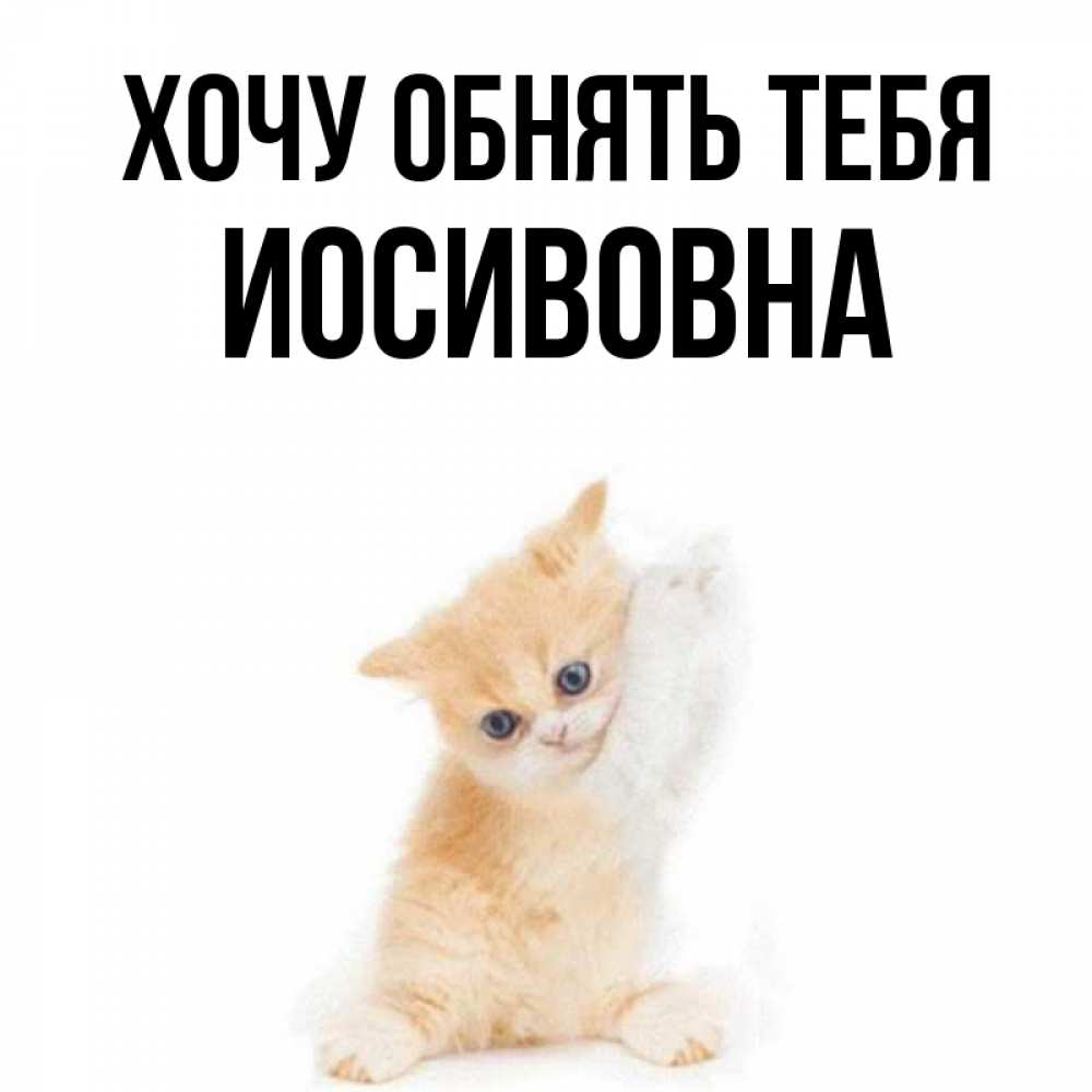 Открытка на каждый день с именем, Иосивовна Хочу обнять тебя я хочу очень скорее обнимаешек Прикольная открытка с пожеланием онлайн скачать бесплатно 