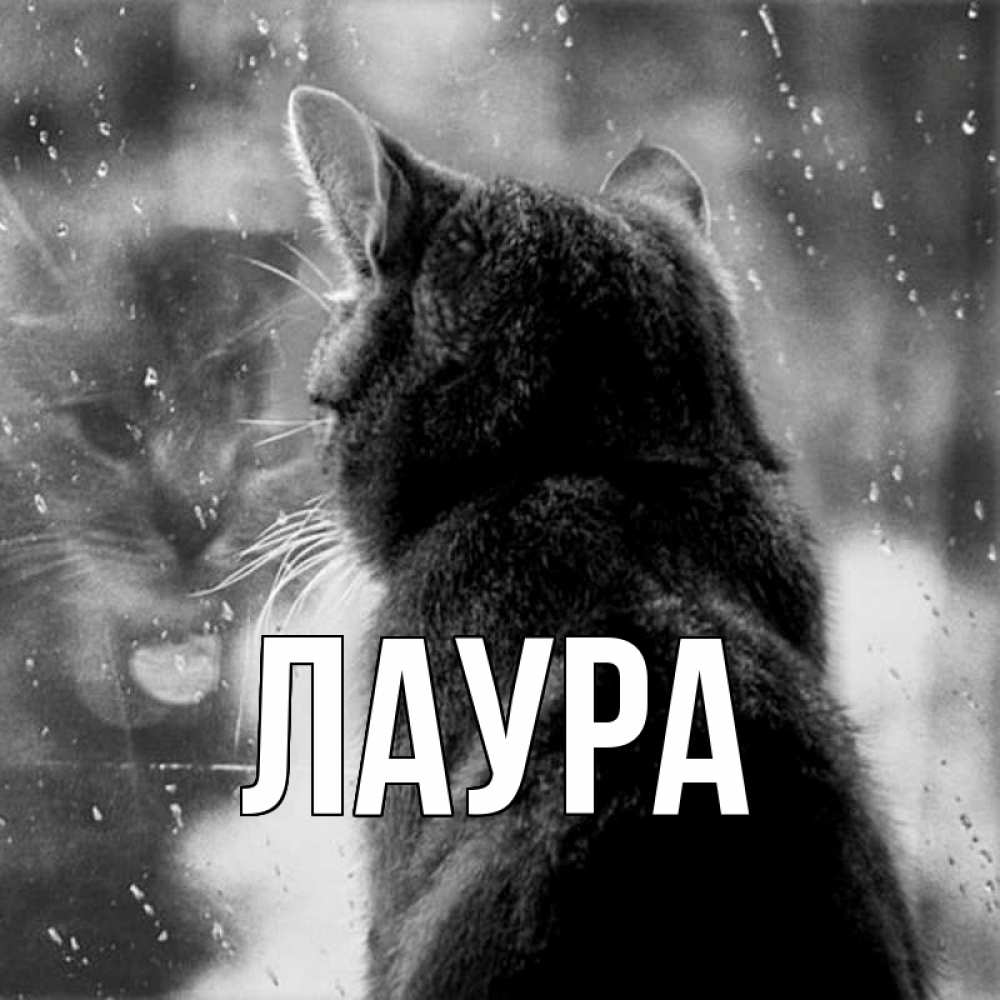 Картинка  с именем , Лаура