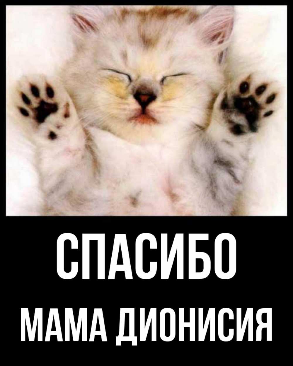 Открытка на каждый день с именем, Мама-Дионисия Спасибо маленький котенок Прикольная открытка с пожеланием онлайн скачать бесплатно 