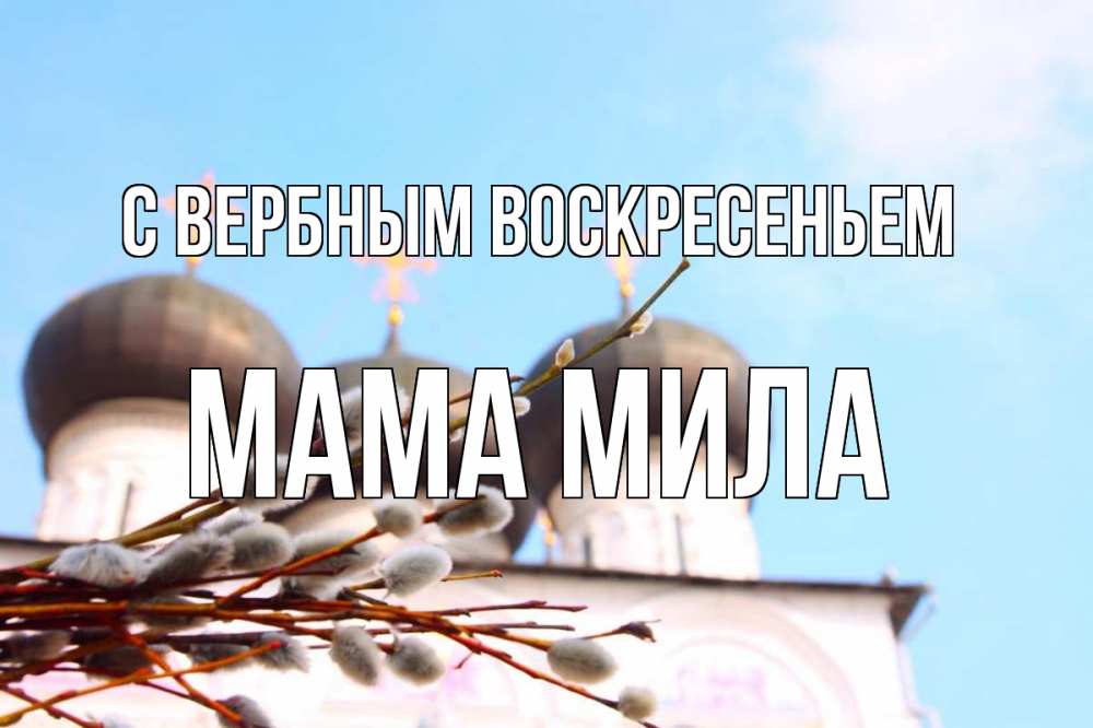 Открытка на каждый день с именем, Мама-Мила С вербным воскресеньем верба Прикольная открытка с пожеланием онлайн скачать бесплатно 