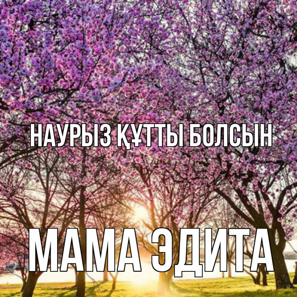 Открытка на каждый день с именем, Мама-Эдита Наурыз құтты болсын наурыз Прикольная открытка с пожеланием онлайн скачать бесплатно 