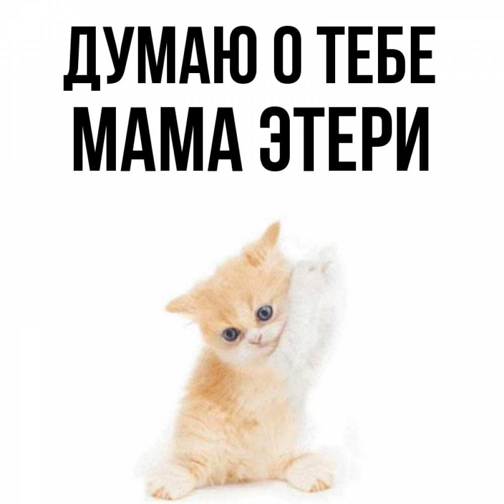 Открытка на каждый день с именем, Мама-Этери Думаю о тебе зверушки и милота Прикольная открытка с пожеланием онлайн скачать бесплатно 