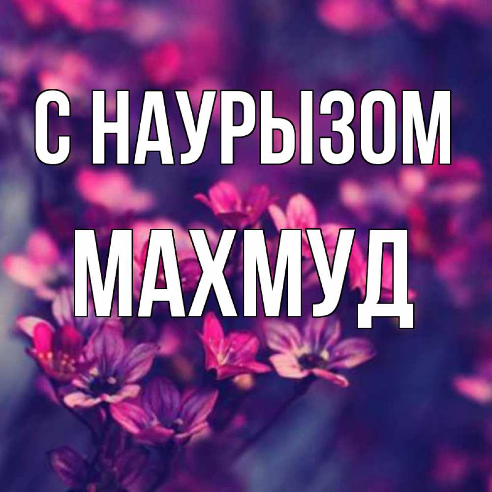 Открытка на каждый день с именем, Махмуд С наурызом небольшие цветы 1 Прикольная открытка с пожеланием онлайн скачать бесплатно 