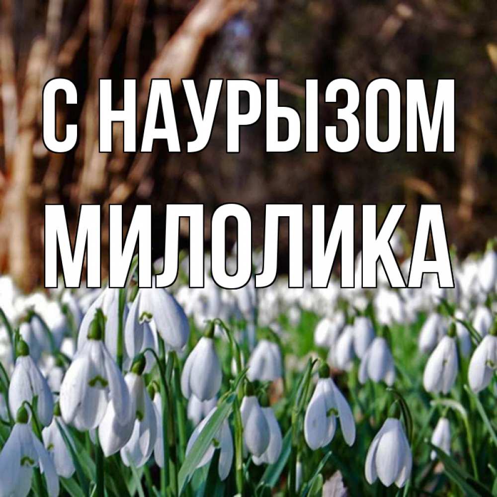 Открытка на каждый день с именем, Милолика С наурызом с подснежниками 1 Прикольная открытка с пожеланием онлайн скачать бесплатно 