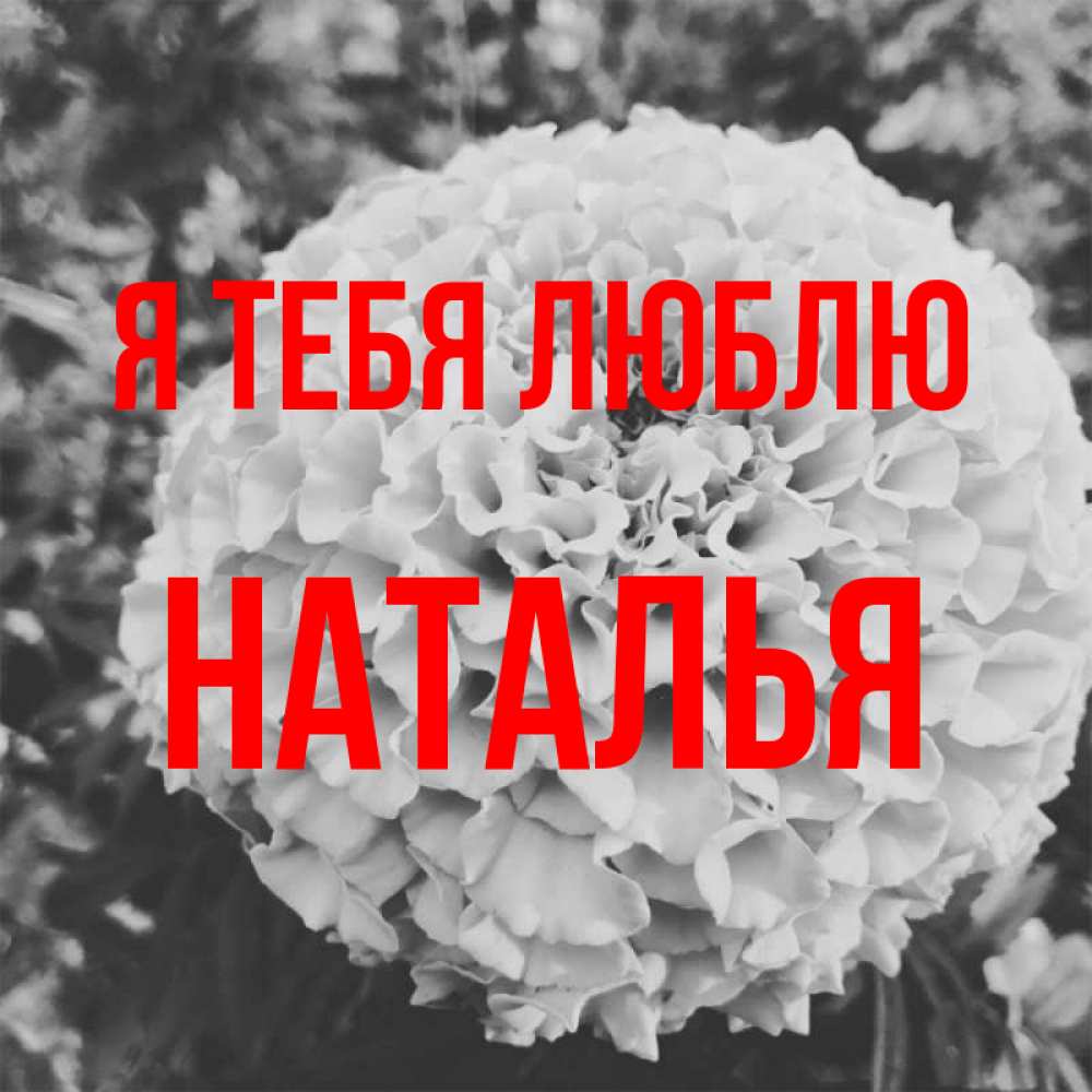 Открытка на каждый день с именем, Наталья Я тебя люблю подпись Прикольная открытка с пожеланием онлайн скачать бесплатно 
