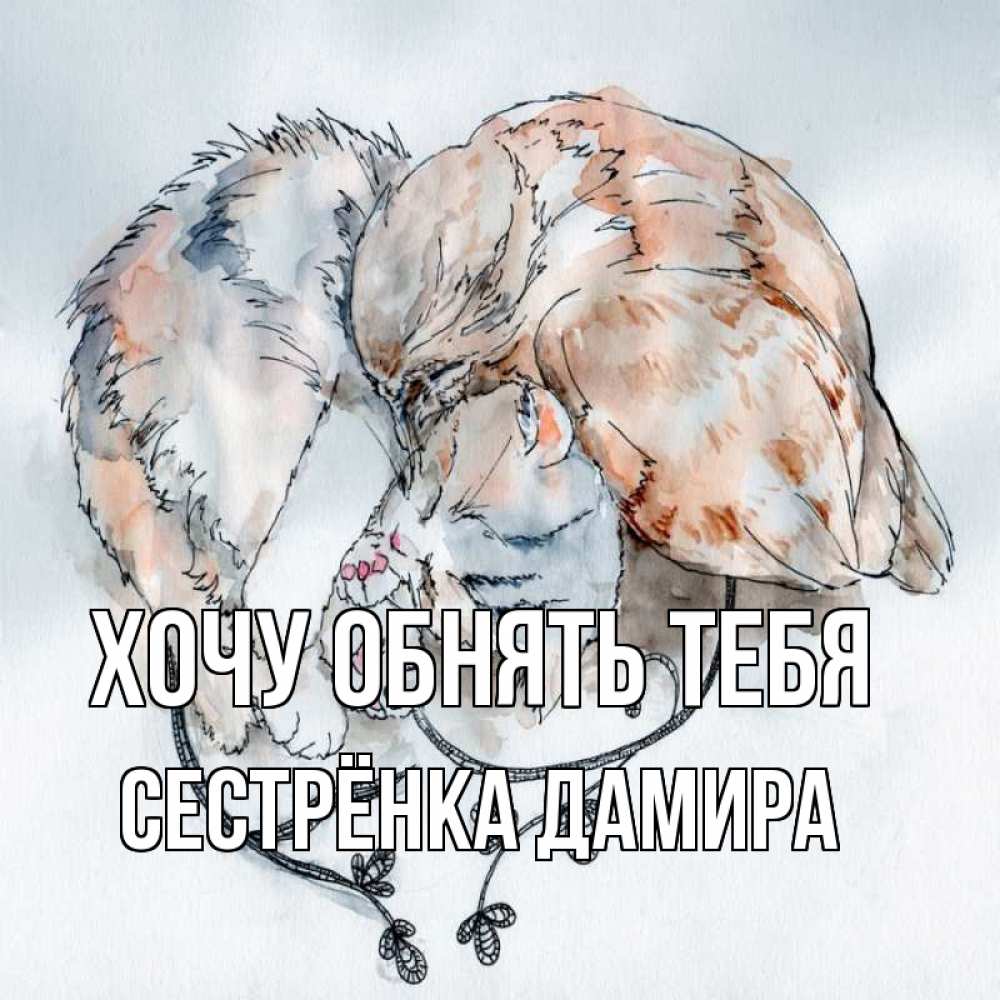 Открытка на каждый день с именем, Сестрёнка-Дамира Хочу обнять тебя можно быть вместе даже когда очень разные Прикольная открытка с пожеланием онлайн скачать бесплатно 