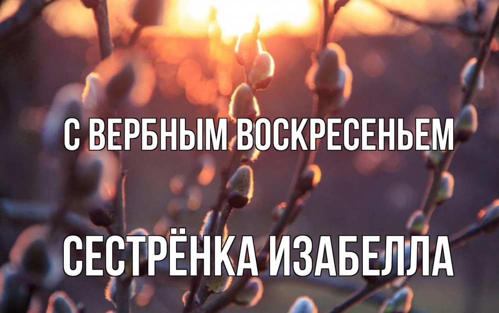 Открытка на каждый день с именем, Сестрёнка-Изабелла С вербным воскресеньем верба Прикольная открытка с пожеланием онлайн скачать бесплатно 