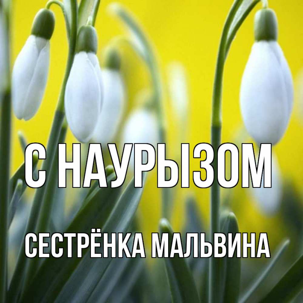 Открытка на каждый день с именем, Сестрёнка-Мальвина С наурызом весенние цветы Прикольная открытка с пожеланием онлайн скачать бесплатно 