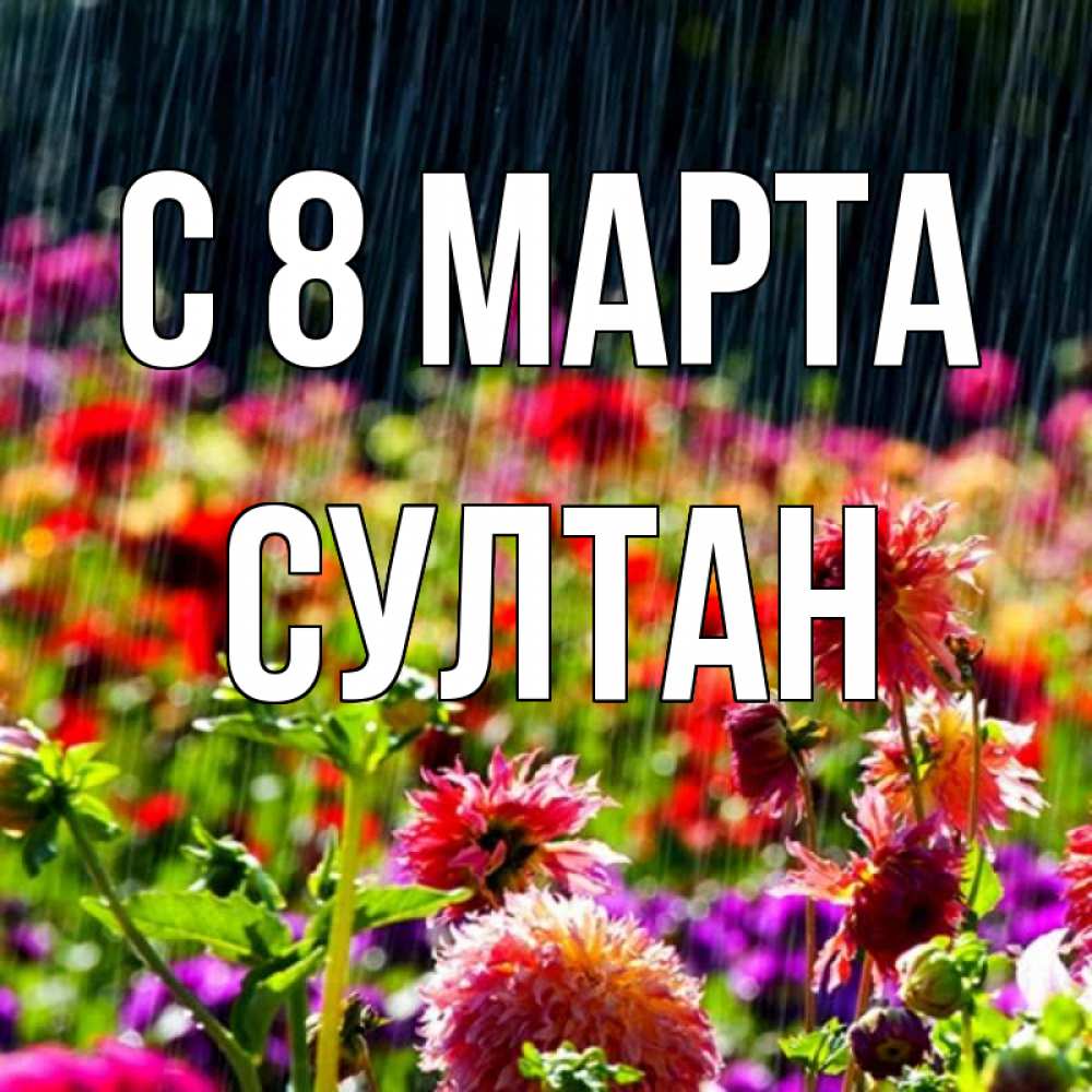 Открытка на каждый день с именем, Султан С 8 МАРТА цветы под дождиком к международному женскому дню Прикольная открытка с пожеланием онлайн скачать бесплатно 