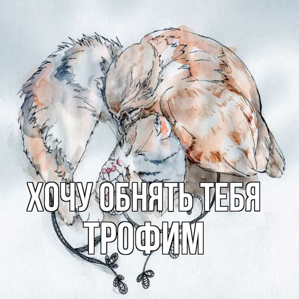 Открытка на каждый день с именем, Трофим Хочу обнять тебя можно быть вместе даже когда очень разные Прикольная открытка с пожеланием онлайн скачать бесплатно 