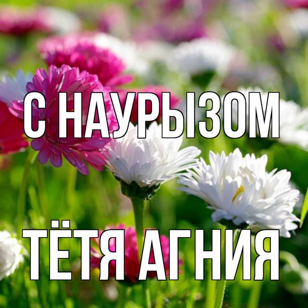 Открытка на каждый день с именем, Тётя-Агния С наурызом праздник весны наурыз красота Прикольная открытка с пожеланием онлайн скачать бесплатно 