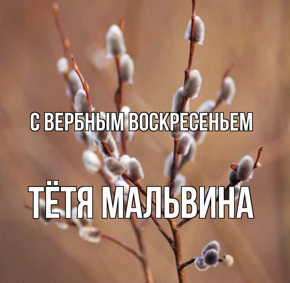 Открытка на каждый день с именем, Тётя-Мальвина С вербным воскресеньем верба Прикольная открытка с пожеланием онлайн скачать бесплатно 