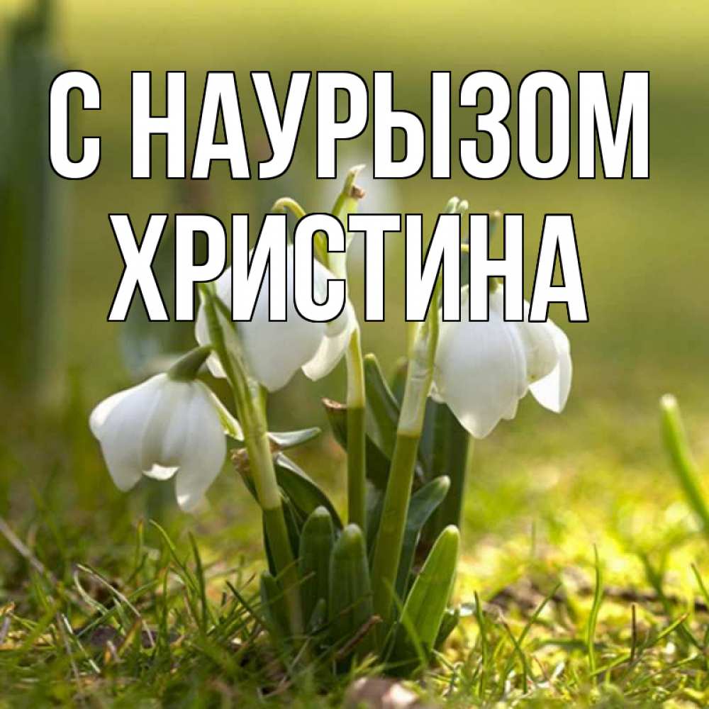 Открытка на каждый день с именем, Христина С наурызом ранние цветы 2 Прикольная открытка с пожеланием онлайн скачать бесплатно 