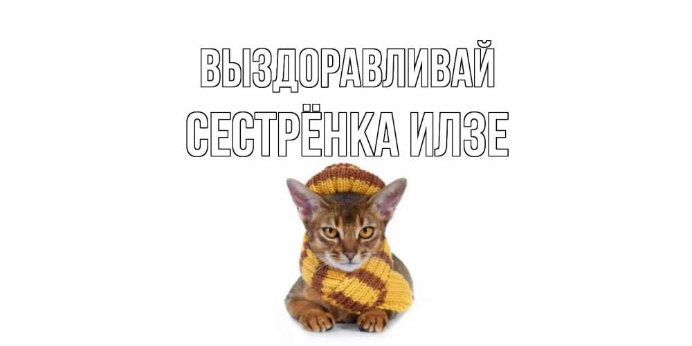 Открытка на каждый день с именем, Сестрёнка-Илзе Выздоравливай родные не болейте Прикольная открытка с пожеланием онлайн скачать бесплатно 