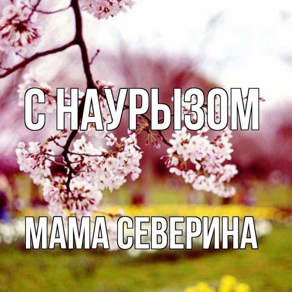 Открытка на каждый день с именем, Мама-Северина С наурызом яблоня Прикольная открытка с пожеланием онлайн скачать бесплатно 