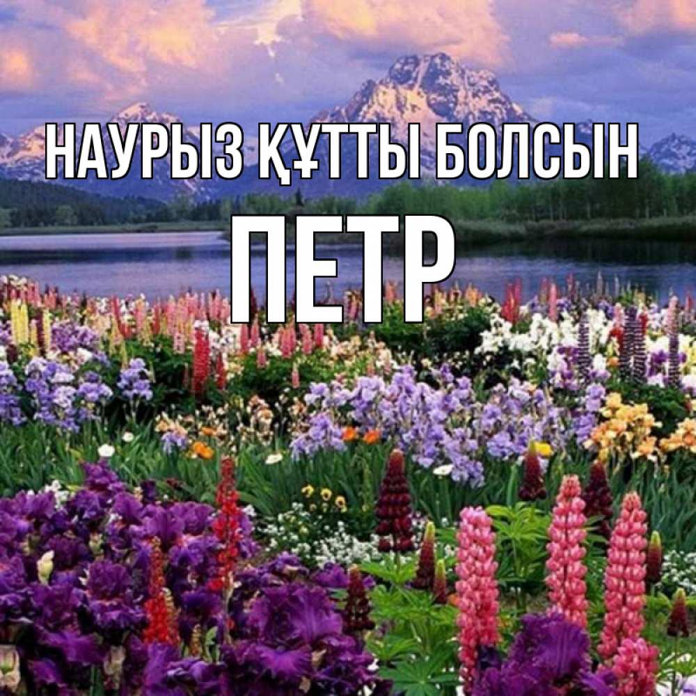 Открытка на каждый день с именем, Петр Наурыз құтты болсын наурыз Прикольная открытка с пожеланием онлайн скачать бесплатно 
