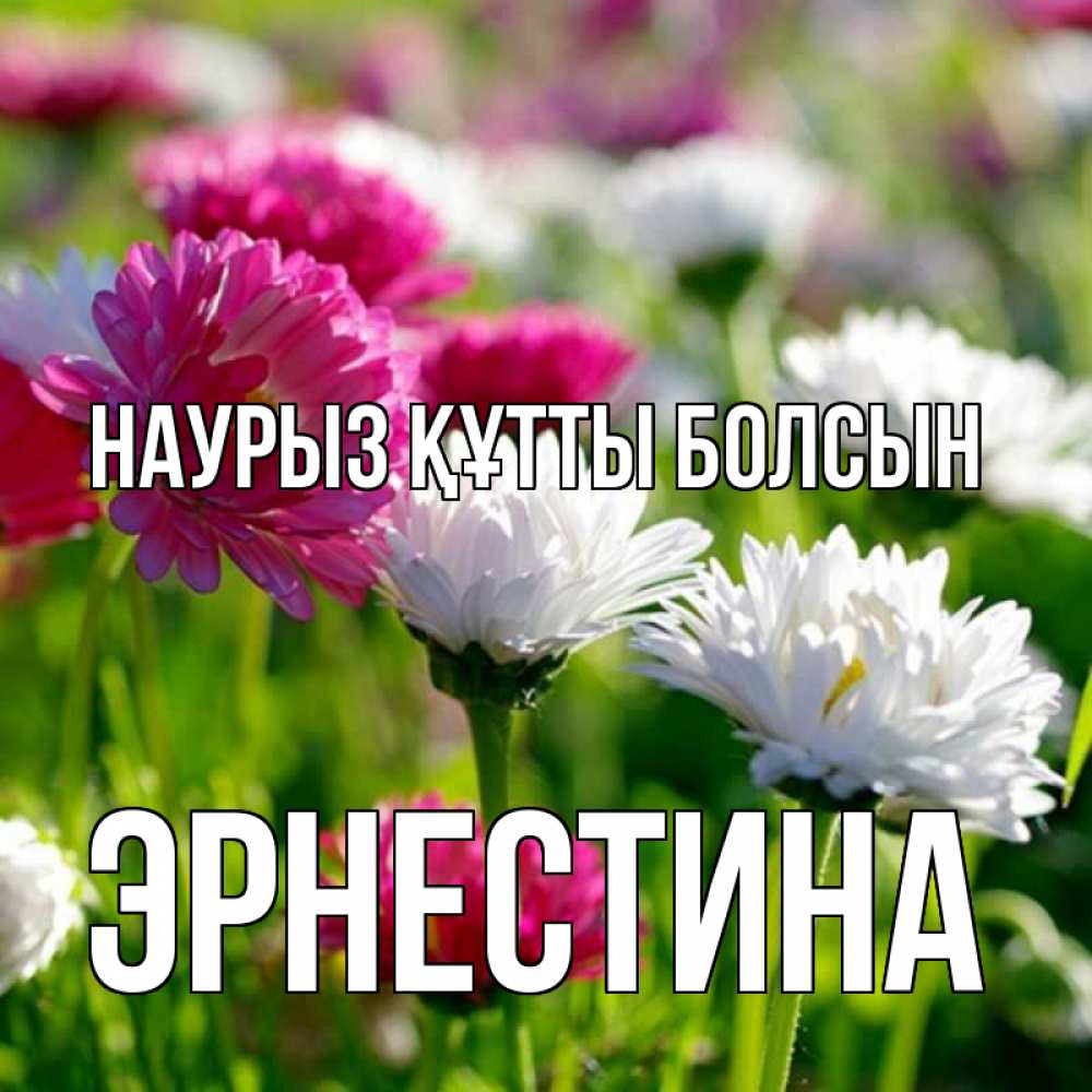 Открытка на каждый день с именем, Эрнестина Наурыз құтты болсын наурыз Прикольная открытка с пожеланием онлайн скачать бесплатно 