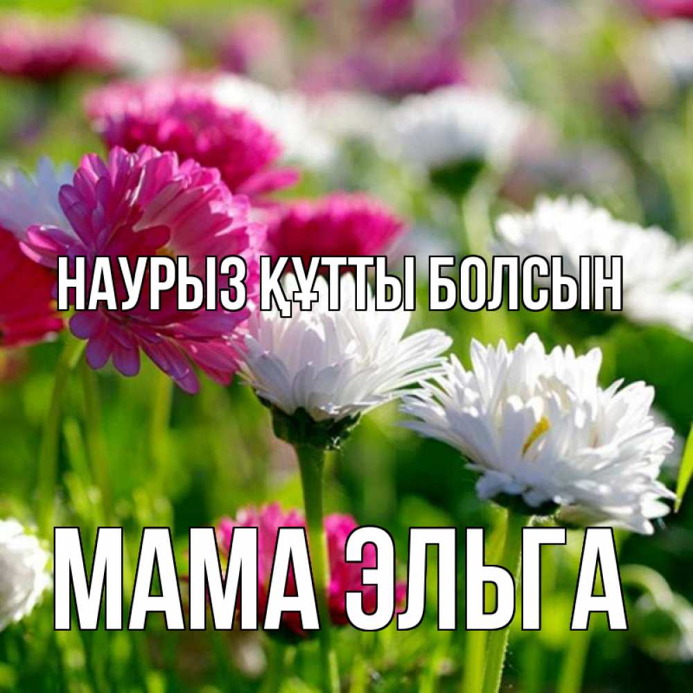 Открытка на каждый день с именем, Мама-Эльга Наурыз құтты болсын наурыз Прикольная открытка с пожеланием онлайн скачать бесплатно 