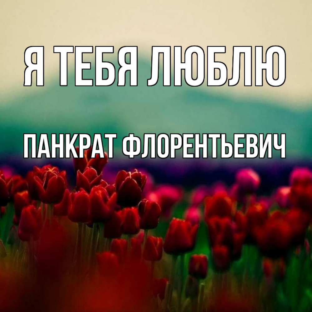 Картинка Я тебя люблю, Панкрат Флорентьевич