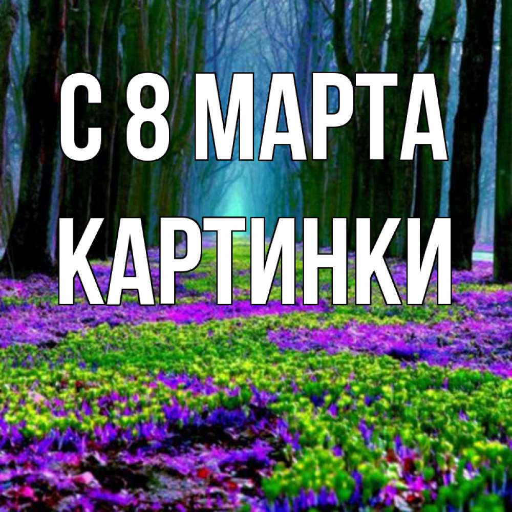 Открытка на каждый день с именем, Картинки С 8 МАРТА фиолетовые цветы в лесу 1 Прикольная открытка с пожеланием онлайн скачать бесплатно 