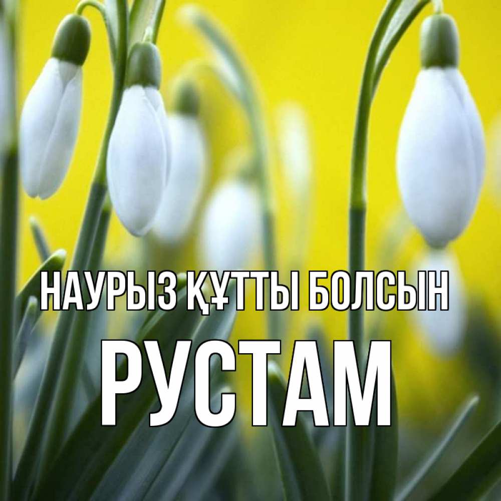 Открытка на каждый день с именем, Рустам Наурыз құтты болсын весенние цветы Прикольная открытка с пожеланием онлайн скачать бесплатно 