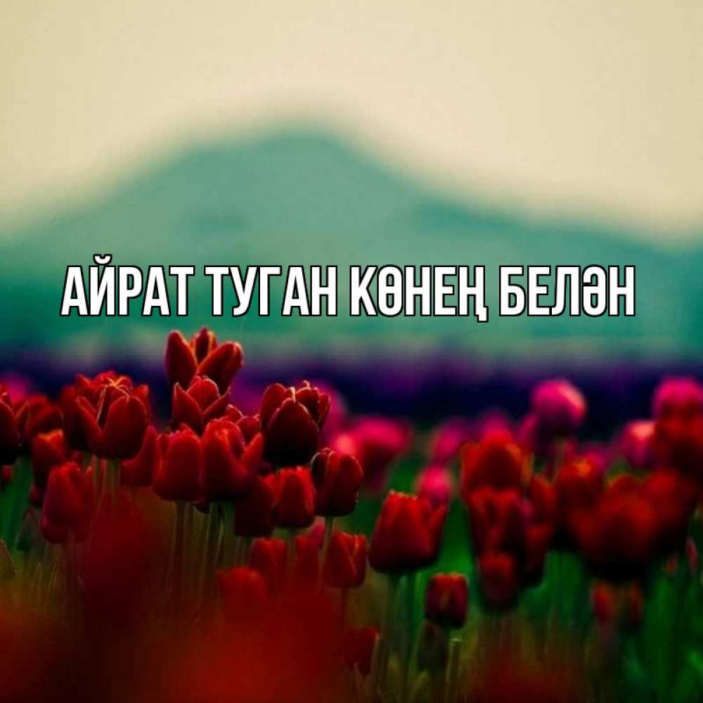 Открытка на каждый день с именем, Айрат-туган-көнең-белән Главная тюльпаны 4 Прикольная открытка с пожеланием онлайн скачать бесплатно 
