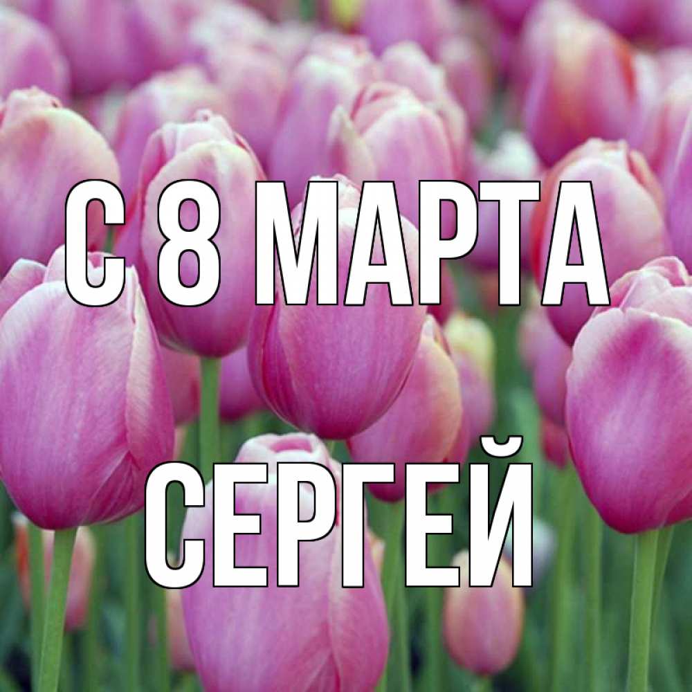 Открытка на каждый день с именем, Сергей С 8 марта на международный женский день 3 Прикольная открытка с пожеланием онлайн скачать бесплатно 