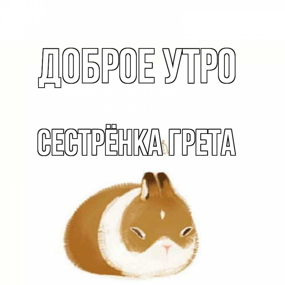 Открытка на каждый день с именем, Сестрёнка-Грета Доброе утро хорошего утречка Прикольная открытка с пожеланием онлайн скачать бесплатно 