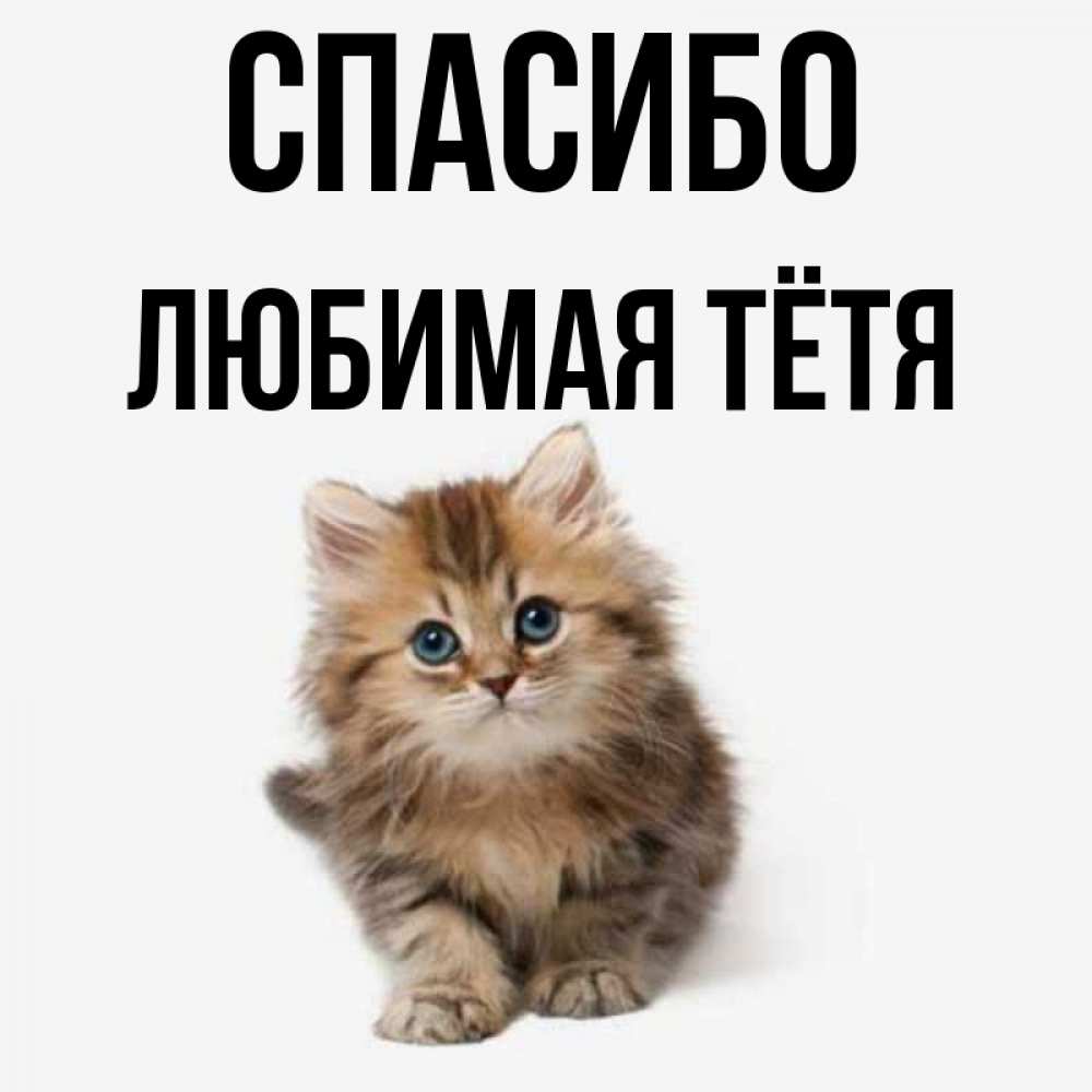 Открытки спасибо тетушка. Спасибо тетя. Спасибо тетя. Спасибо сердечко. Спасибо тётя катя.