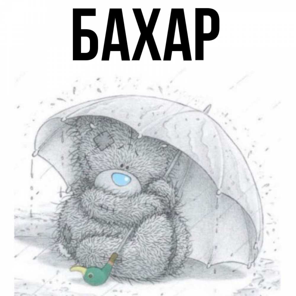 Открытка на каждый день с именем, Бахар Главная спасите мишку Тедди Прикольная открытка с пожеланием онлайн скачать бесплатно 