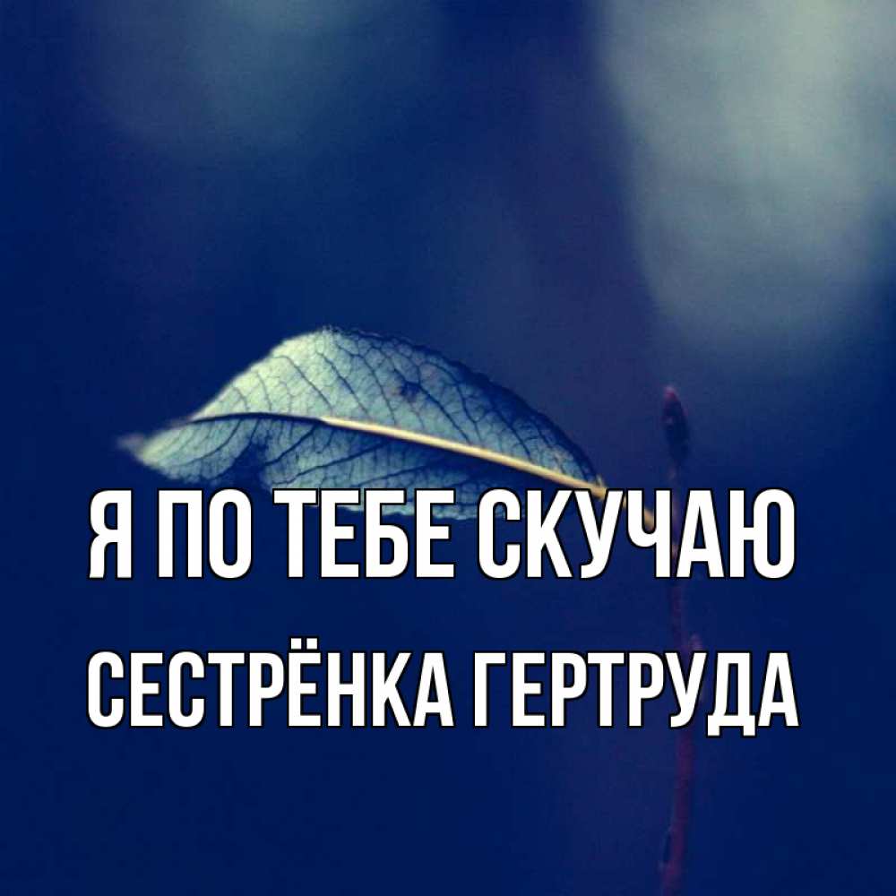 Открытка на каждый день с именем, Сестрёнка-Гертруда Я по тебе скучаю одна ветка 1 Прикольная открытка с пожеланием онлайн скачать бесплатно 