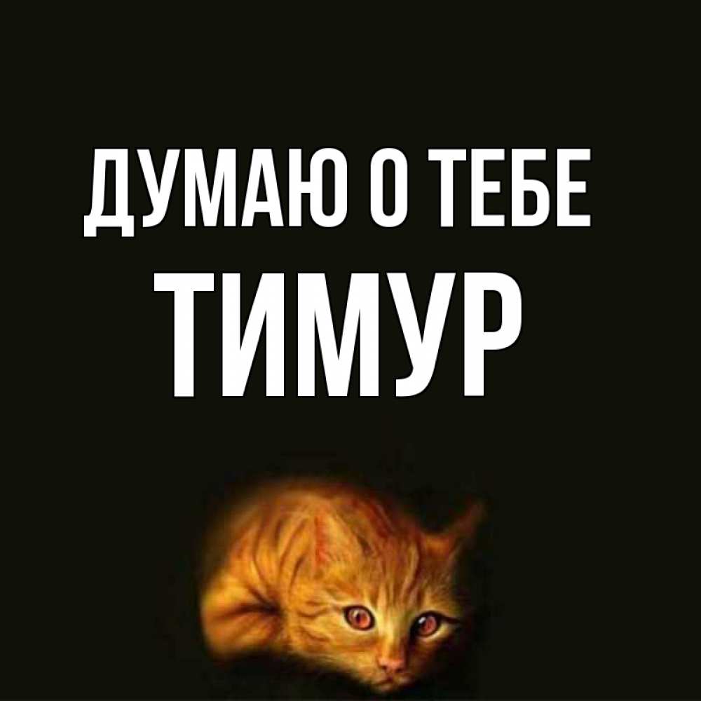 Картинки с именем тимур прикольные